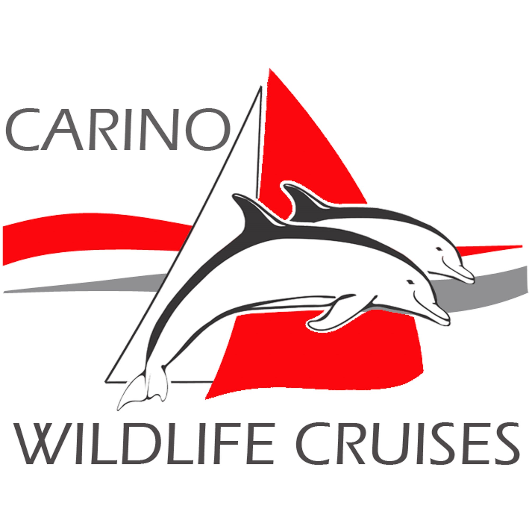 Carino Wildlife Cruises