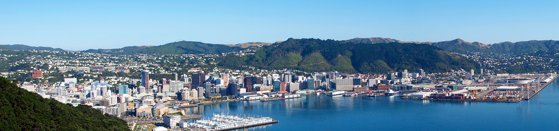 Image offer for Wellington Regional Spotlight 