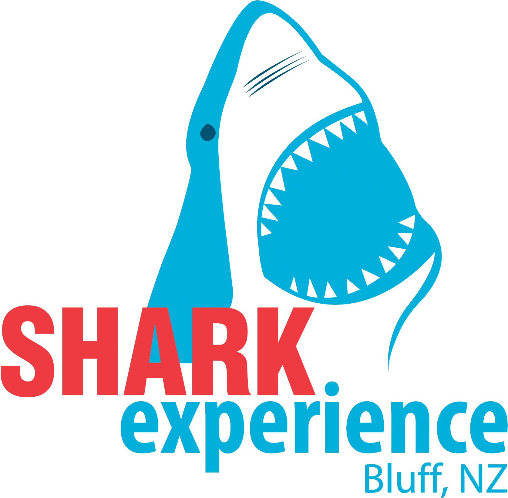 Shark Experience Bluff