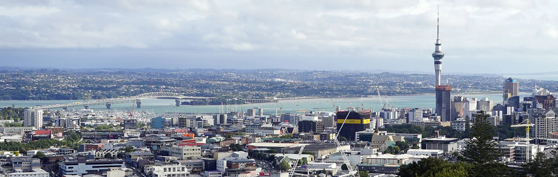 Auckland